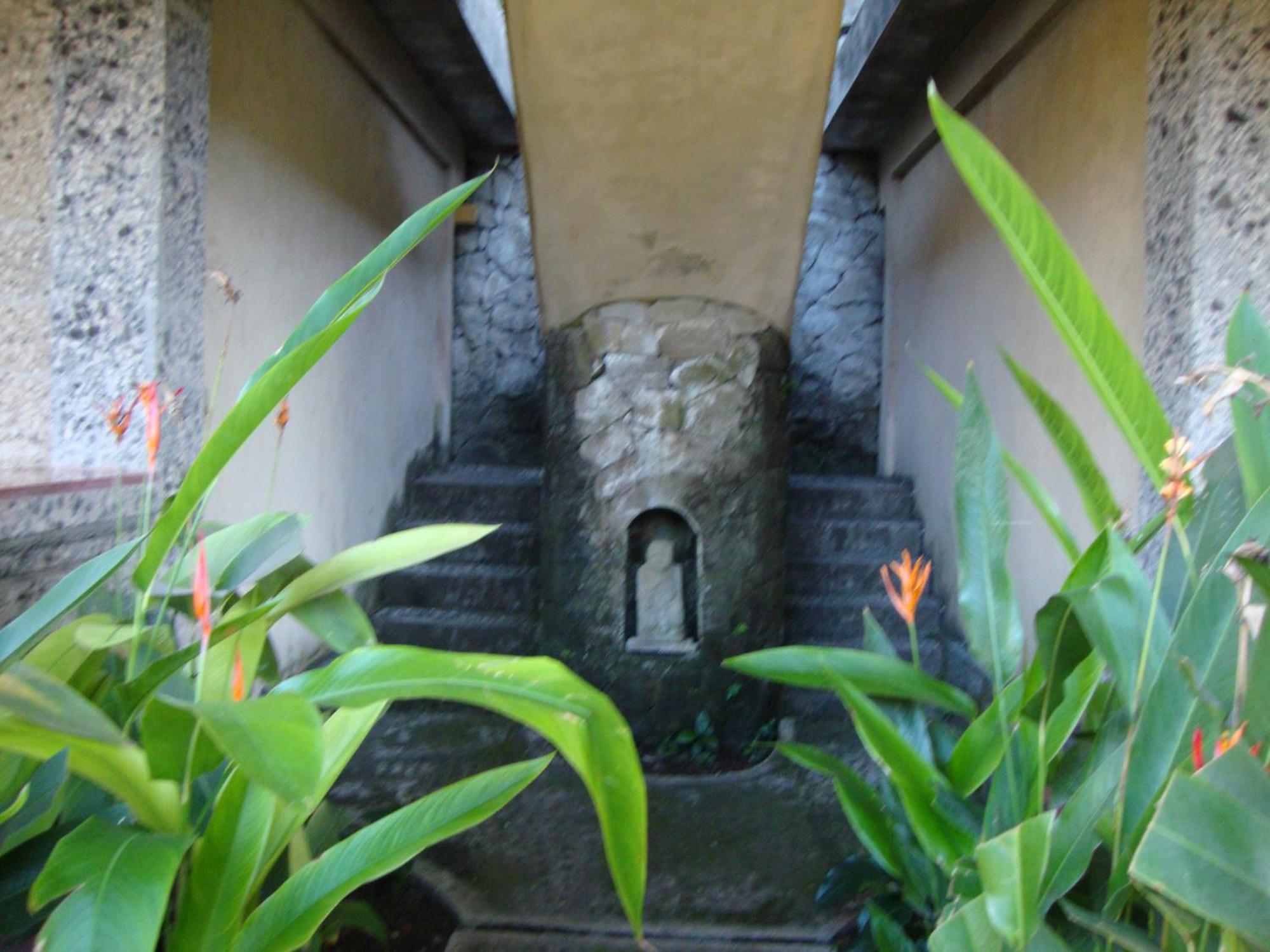 Gusti Home Stay Ubud Pokój zdjęcie