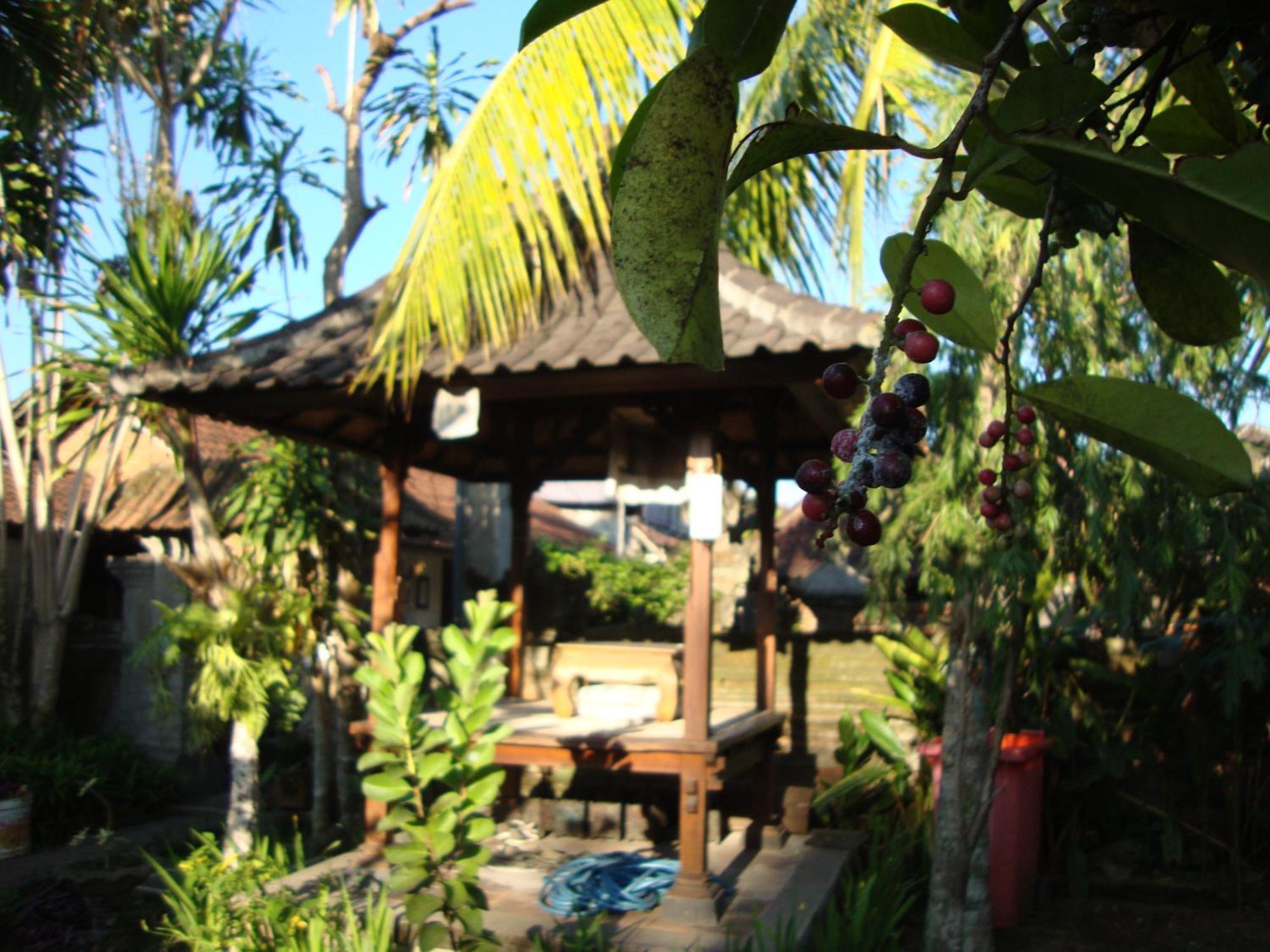 Gusti Home Stay Ubud Pokój zdjęcie