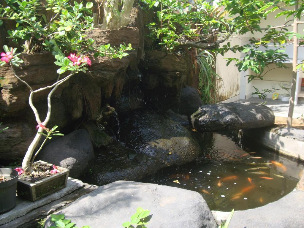Gusti Home Stay Ubud Zewnętrze zdjęcie