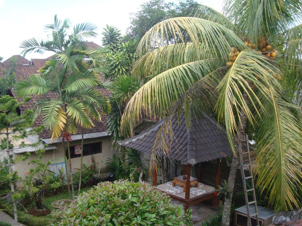 Gusti Home Stay Ubud Zewnętrze zdjęcie